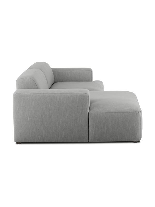 Aral gray sofa