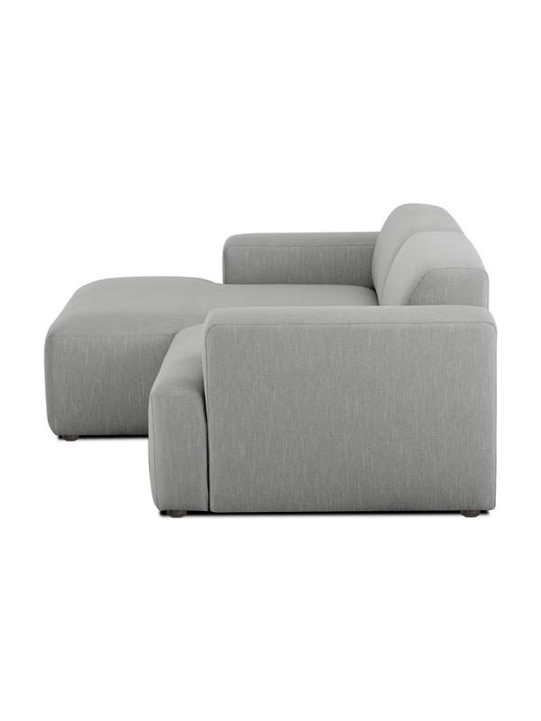 Aral gray sofa
