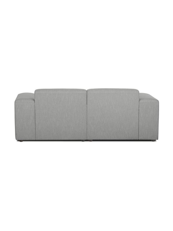 Aral gray sofa
